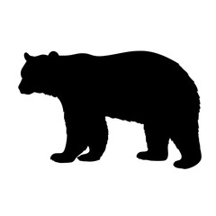 Fototapeta premium Black bear silhouette vector illustration wildlife animal mammal forest nature graphic art design