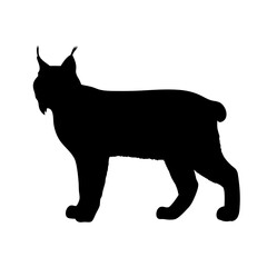 Silhouette of a lynx wildcat bobcat animal feline predator mammal wildlife forest nature vector