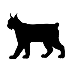 Silhouette lynx vector illustration of wild cat animal feline predator mammal bobcat shape design