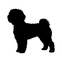 Discover bichon frise silhouette vector art featuring cute fluffy dog breed in black and white design
