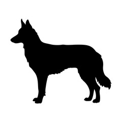 Black silhouette of a german shepherd dog standing canine pet animal mammal domestic breed doggy
