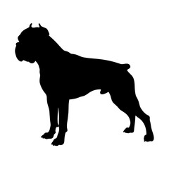 Boxer dog silhouette vector illustration breed animal pet canine puppy isolated domestic mammal black design