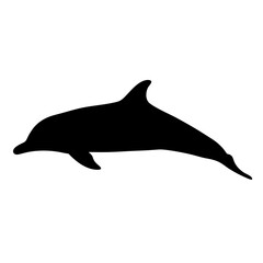 Dolphin silhouette vector illustration marine mammal aquatic sea ocean wildlife animal design graphic art