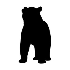 Bear silhouette vector illustration animal wildlife mammal grizzly forest nature design black bear standing