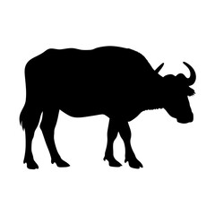 Discover majestic silhouette of a buffalo animal vector art illustration image design graphic drawing nature wildlife