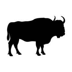 Silhouette of a bison buffalo bull mammal animal wildlife nature illustration vector graphic artwork