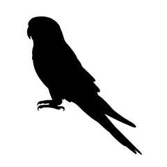 Silhouette of a parrot bird animal pet tropical exotic wildlife nature avian illustration vector art