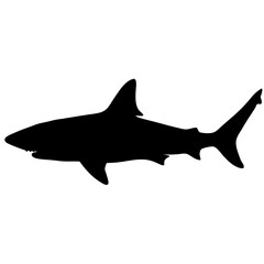 Shark silhouette vector illustration featuring ocean predator marine life and sea animal design element dangerous fish