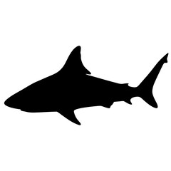 Shark silhouette vector illustration ocean predator marine animal dangerous sea life aquatic fauna black shape