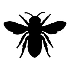 Silhouette of a bee insect flying, bee vector illustration, honeybee, bumblebee, pollinator, bee