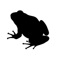 Frog amphibian vector silhouette illustration animal wildlife nature toad isolated design graphic art image