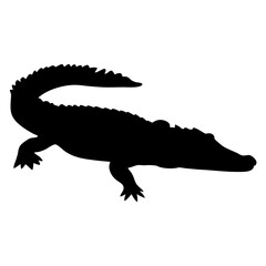 Alligator crocodile reptile silhouette animal wildlife swamp predator gator danger teeth black