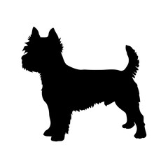 Schnauzer dog silhouette isolated on white, Black silhouette of a schnauzer dog standing on white background, ideal for pet logos, decals, and graphic design.

