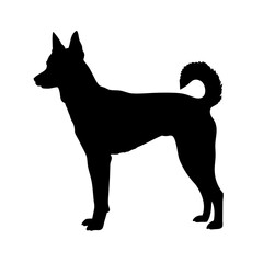 Black silhouette of a basenji dog breed standing with curled tail vector illustration art image