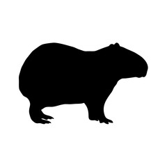 Capybara rodent mammal animal south america wildlife nature zoo silhouette vector illustration