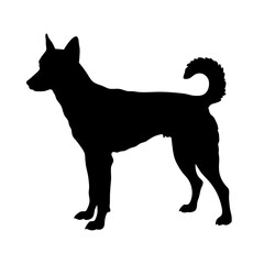 Basenji dog silhouette vector art pet animal canine breed companion mammal domestic pedigree doggy