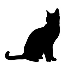 Black cat silhouette vector illustration of feline pet animal domestic mammal graphic design art