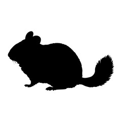 Chinchilla silhouette vector, rodent pet animal illustration, fluffy tail, mammal design, cute art