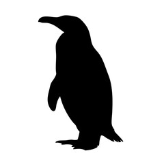 Naklejka premium Penguin silhouette vector illustration antarctic bird wildlife animal black and white drawing design art