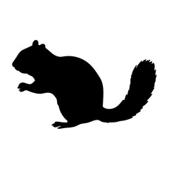 Silhouette of a squirrel animal wildlife rodent mammal nature furry tail forest tree park