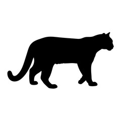 Black panther silhouette vector illustration wild animal predator feline mammal carnivore graphic design drawing art vector