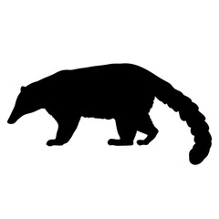 Illustration of a coati animal wildlife mammal nature silhouette vector design graphic art image