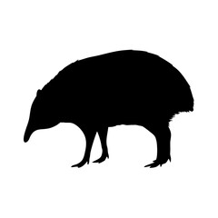 Explore the enigmatic echidna vector art: a detailed silhouette for wildlife and nature designs today