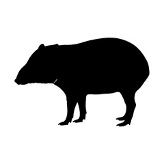 Explore the silhouette of a capybara rodent animal, a large south american mammal, vector art