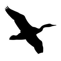 Flying bird silhouette vector illustration of bird in flight graphic design element art image