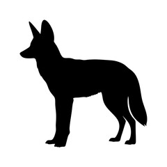 Black coyote silhouette vector art illustration of wildlife animal canidae predator design graphic