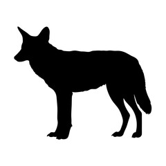 Coyote silhouette vector illustration, wild animal, canine predator, mammal wildlife, nature icon