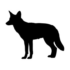 Black silhouette of a coyote standing illustration wildlife animal mammal predator canine jackal fox dog like