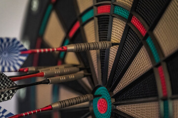 Darts stuck in the target.
