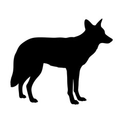 Black silhouette of a coyote animal wildlife predator canine mammal hunting scavenger wild dog like creature