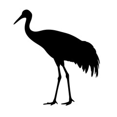 Black silhouette of crane bird vector illustration standing crane bird wildlife animal crane bird art