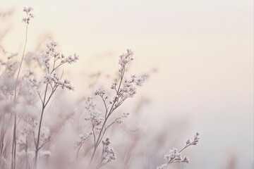 Delicate flower branches with soft light for wedding invitations and greeting cards.