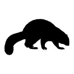 Silhouette of a fisher marten animal vector illustration wildlife forest mammal predator black and white art