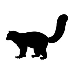 Black silhouette of a ring tailed cat animal vector illustration wildlife mammal nature pet cute tail