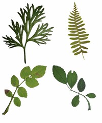 Fototapeta premium planets