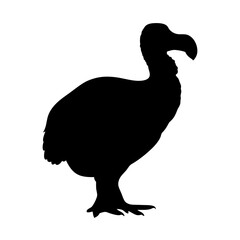 Dodo bird extinct animal silhouette illustration extinct bird dodo silhouette extinct species wildlife dodo © IsratJahan