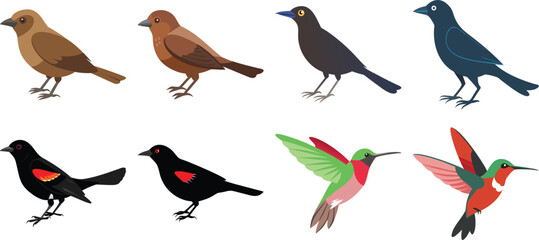   set of kingfisher silhouette line art vector Outdoor adventure solid icons – silhouette style hiking, camping, and nature symbols for explorers: hiking boot, trail sign, water bottle, net, 