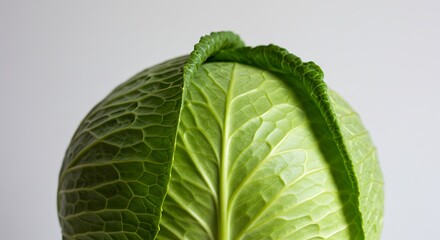Fototapeta premium Fresh Green Cabbage Vegetable Closeup Showing Texture and Detail of Leaves Ideal for Food Blog or Cookbook