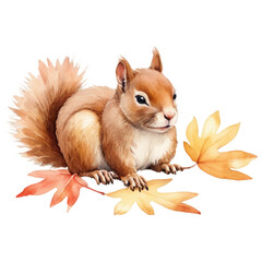 Fototapeta premium A lifelike brown squirrel with a bushy tail sits among orange, yellow, and red autumn leaves. The black background highlights the vibrant colors.