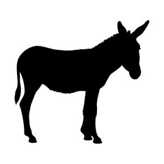 Illustration of a donkey silhouette, farm animal, livestock, equine, mule, jackstock, burro, jenny