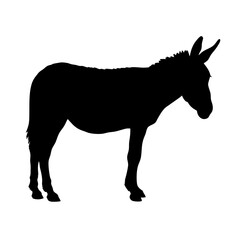 Black silhouette of donkey animal illustration farm mammal equine mule burro jack stock image