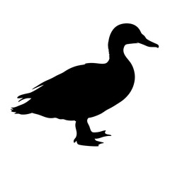 Duck silhouette vector image waterfowl bird animal wildlife nature graphic illustration ducky icon clip art