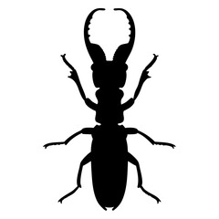 Stag beetle silhouette insect bug animal nature wildlife entomology beetle illustration vector art