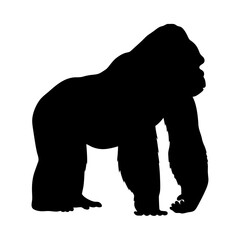 Illustration of a gorilla silhouette, ape, primate, mammal, wildlife, animal, nature, zoo art
