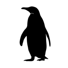 Penguin silhouette antarctic bird wildlife animal black and white vector illustration image art