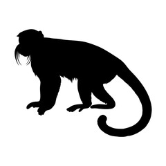 Explore black tamarin monkey silhouette vector art featuring wildlife primate design and nature themes for creative projects